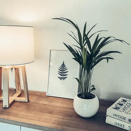 Oderblick - Wasser Und Wald Direkt Vor Der Tuer - E-bike Und Motorrad Willkommen - Bike Friendly Bad Lauterberg