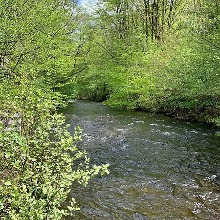 Oderblick - Wasser Und Wald Direkt Vor Der Tuer - E-bike Und Motorrad Willkommen - Bike Friendly Apartament