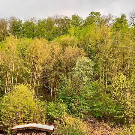 Oderblick - Wasser Und Wald Direkt Vor Der Tuer - E-bike Und Motorrad Willkommen - Bike Friendly Bad Lauterberg