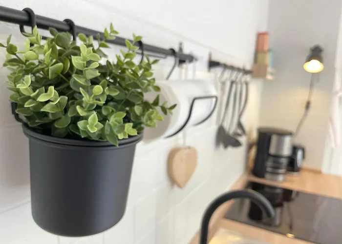 Apartament Oderblick - Wasser Und Wald Direkt Vor Der Tuer - E-bike Und Motorrad Willkommen - Bike Friendly *