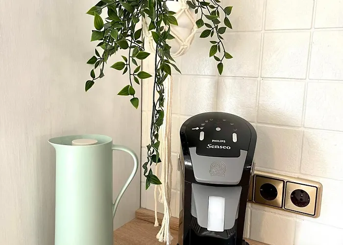 Oderblick - Wasser Und Wald Direkt Vor Der Tuer - E-bike Und Motorrad Willkommen - Bike Friendly Apartament *