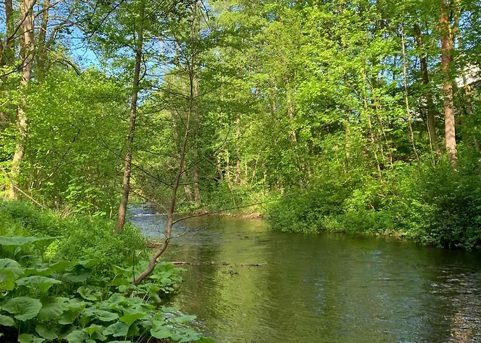Oderblick - Wasser Und Wald Direkt Vor Der Tuer - E-bike Und Motorrad Willkommen - Bike Friendly Apartament Bad Lauterberg