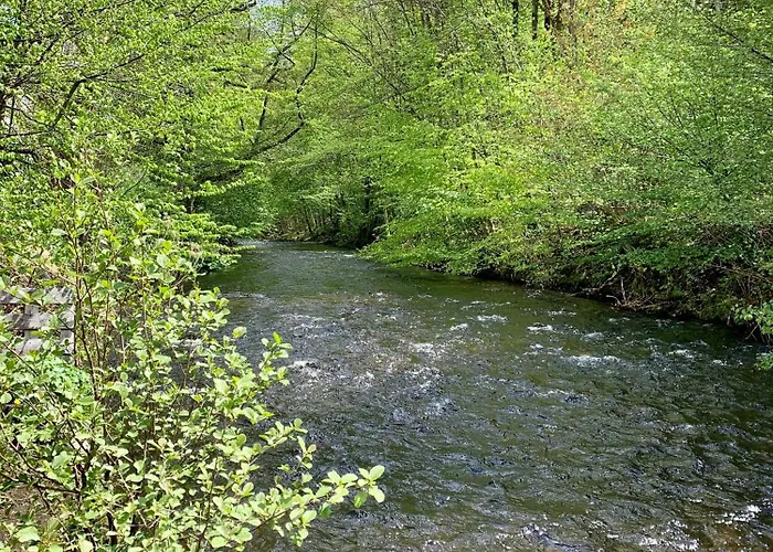 Oderblick - Wasser Und Wald Direkt Vor Der Tuer - E-bike Und Motorrad Willkommen - Bike Friendly Apartament