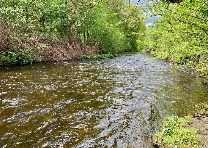 Apartament Oderblick - Wasser Und Wald Direkt Vor Der Tuer - E-bike Und Motorrad Willkommen - Bike Friendly Bad Lauterberg