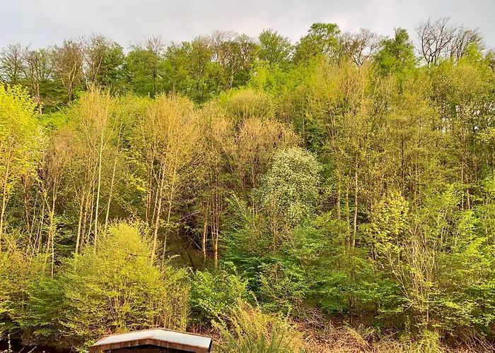 Oderblick - Wasser Und Wald Direkt Vor Der Tuer - E-bike Und Motorrad Willkommen - Bike Friendly Bad Lauterberg